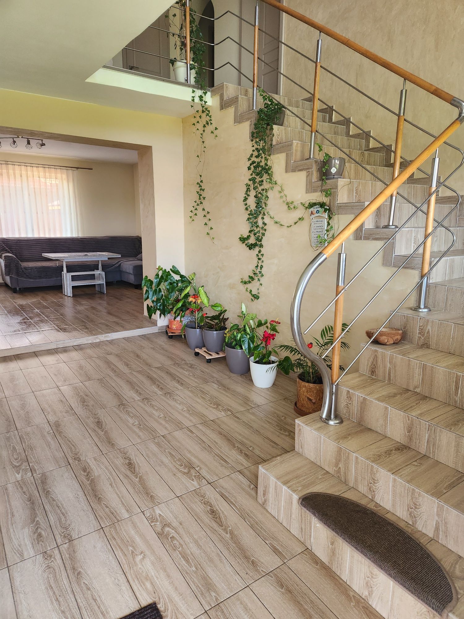CASA individuala + garsoniera individuala atasata in zona liniștită