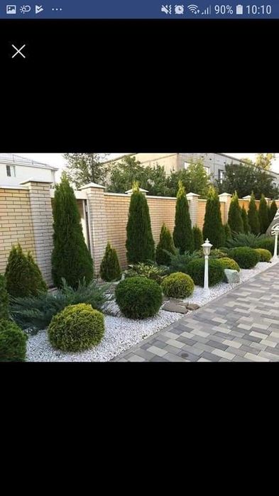 Amenajez curți și grădini cu plante ornamentale