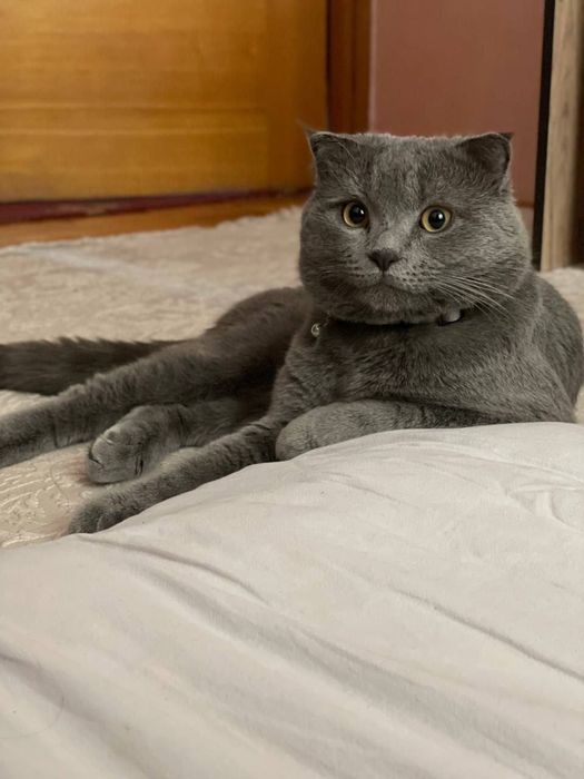 Для вязки, не продается!