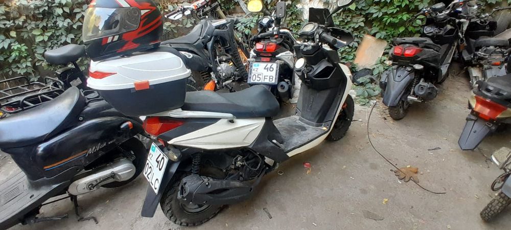 Аренда мопедов в  отличном