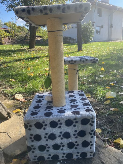 Катерушка за котка
