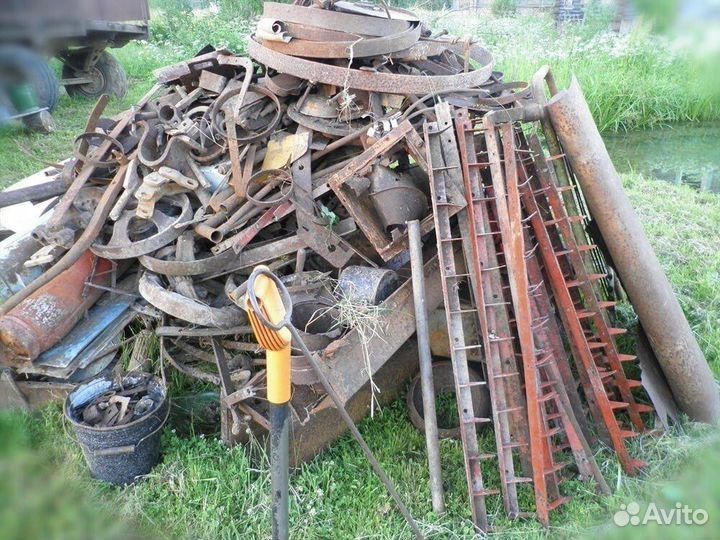 Metallom olamiz Toshkent boʻylab