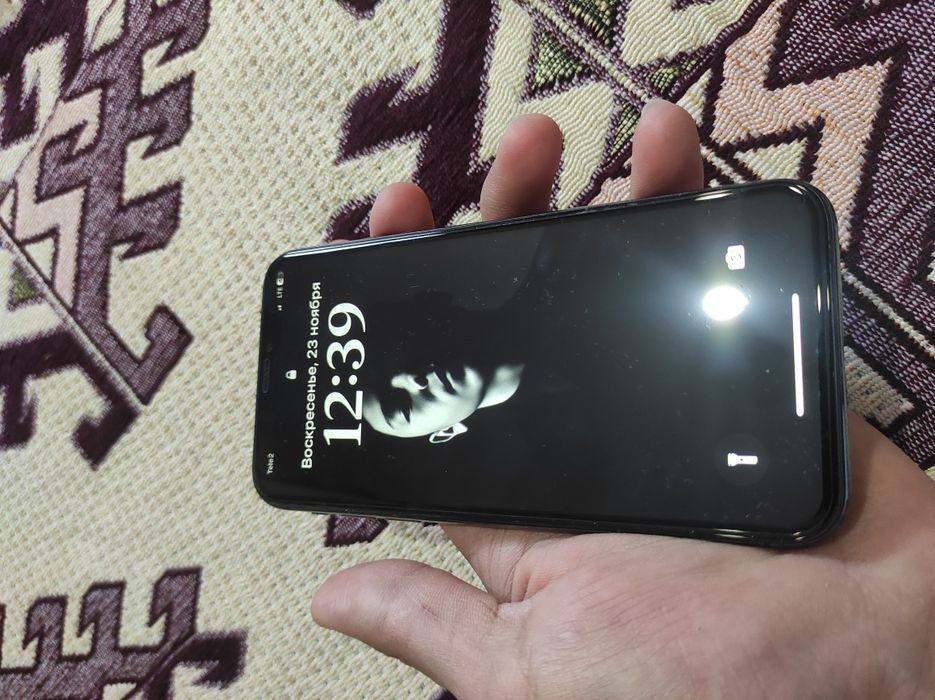 iPhone X (10)  256GB,  100%