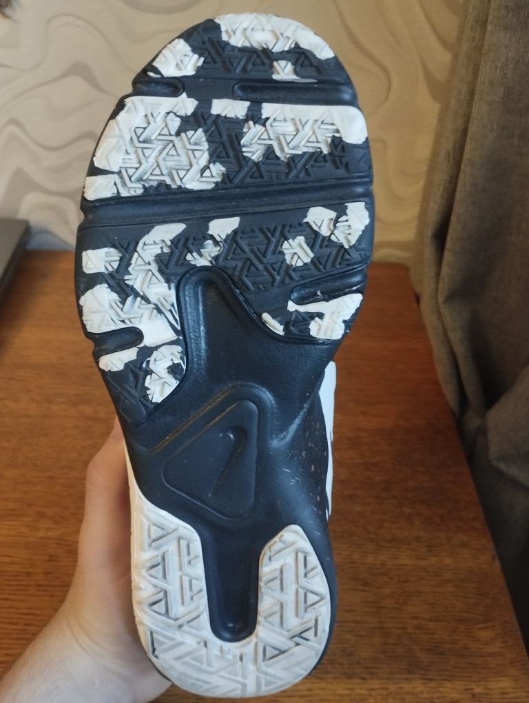 Кроссовки Nike Legend Essintial 2