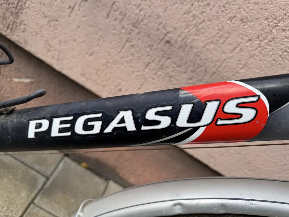 Bicicleta barbateasca