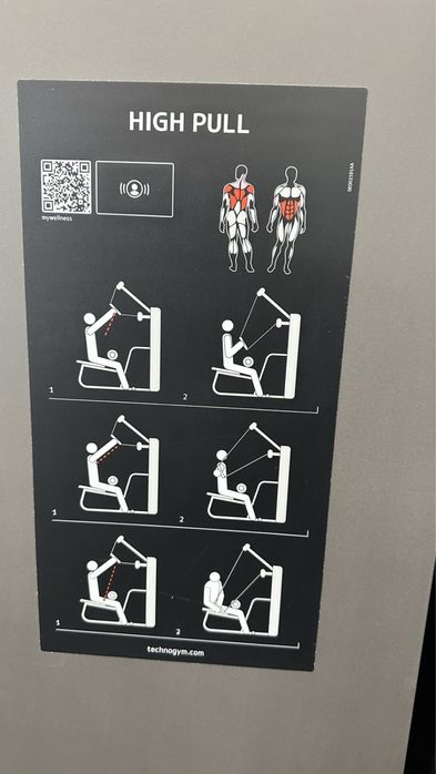 TECHNOGYM Artist high pull