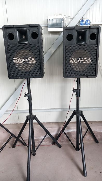 Boxe profesionale 12 inch Panasonic Ramsa WS-A200E