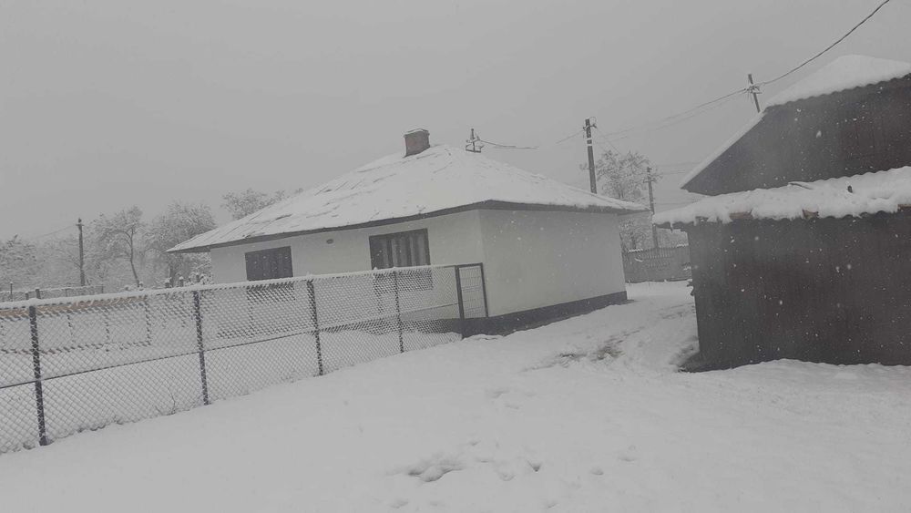 vand ferma agrozootehnica