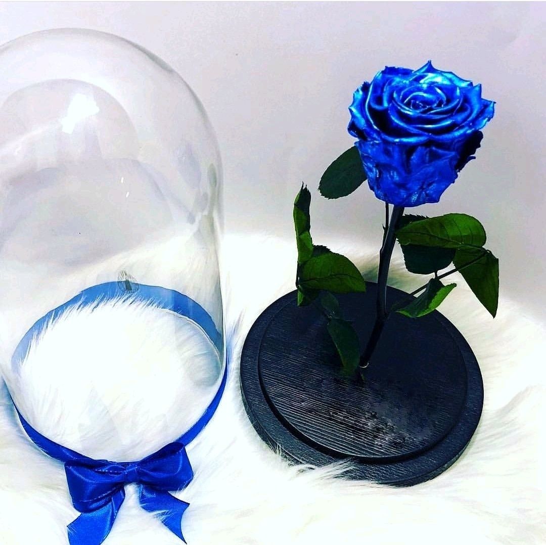 Trandafir criogenat în cupolă - culoare deosebită albastru metalizat