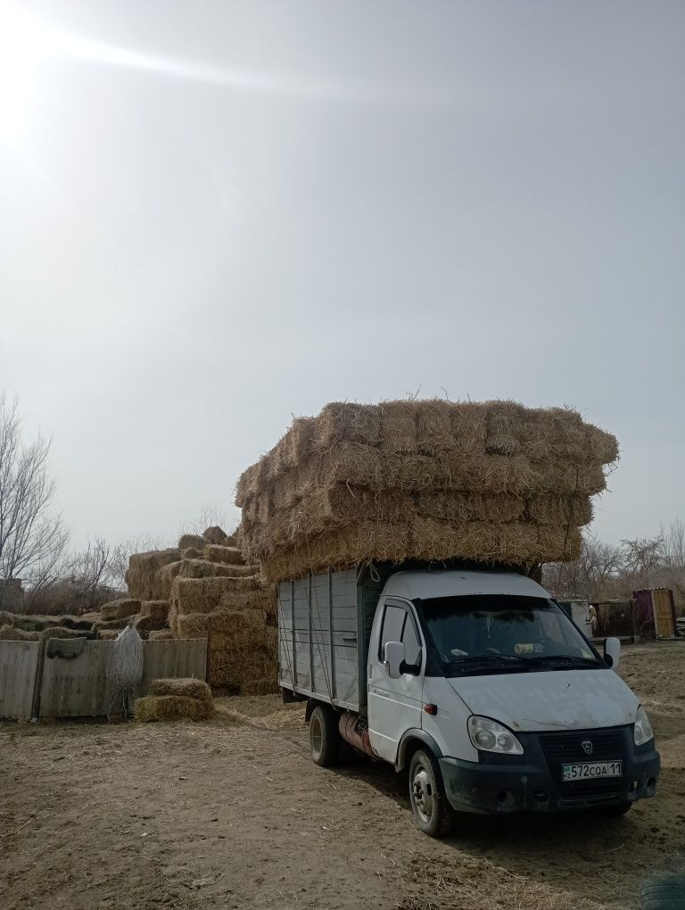 Сабан прес бар тығыз басылған жеткізу бар