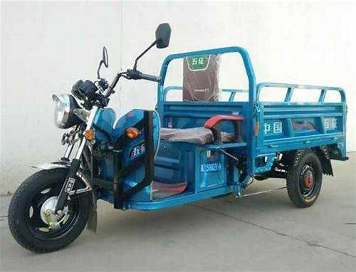 Трицикл грузовой ,бензиновый и электрический