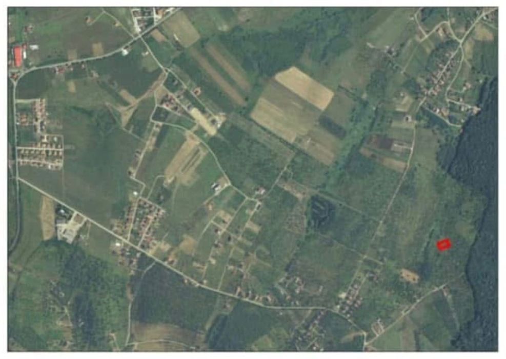 Teren Paleu 2x888 mp lângă pădure