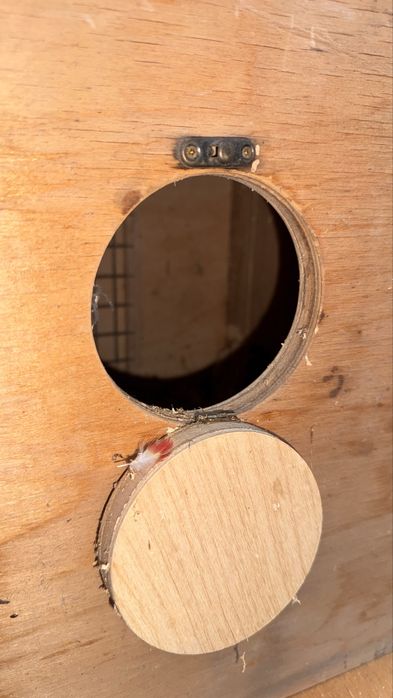 Скворечник Дублёнка Dublyonka