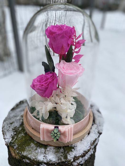 Cupole  / Trandafiri criogenati / Flori