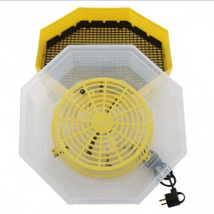 Инкубатор Cleo 5