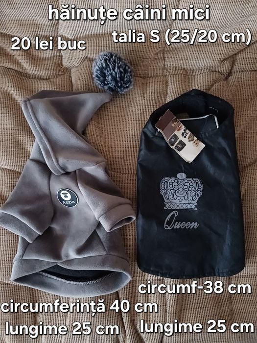 Ham,haine,lesă câini