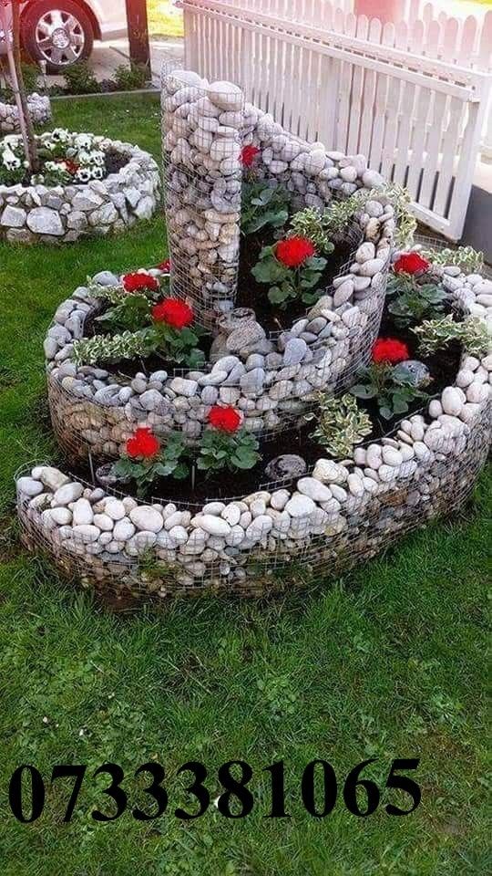 Vând plante ornamentale oriunde în țară