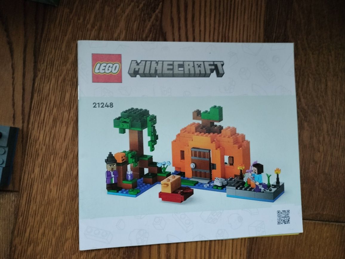 Lego Minecraft 21248