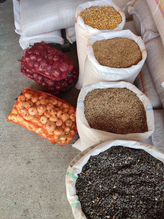 Vând floarea soarelui