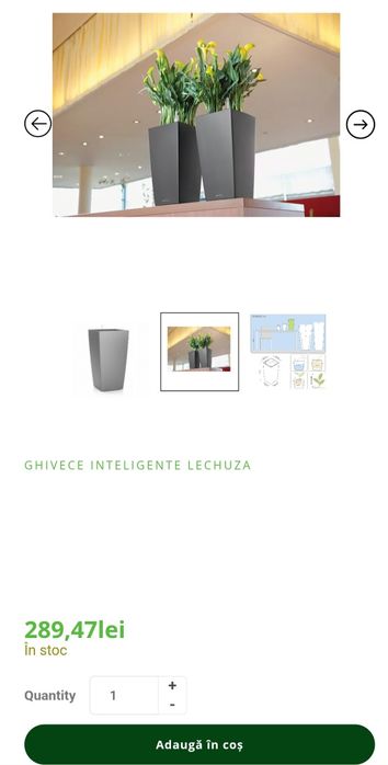 Ghiveci Lechuza cubico