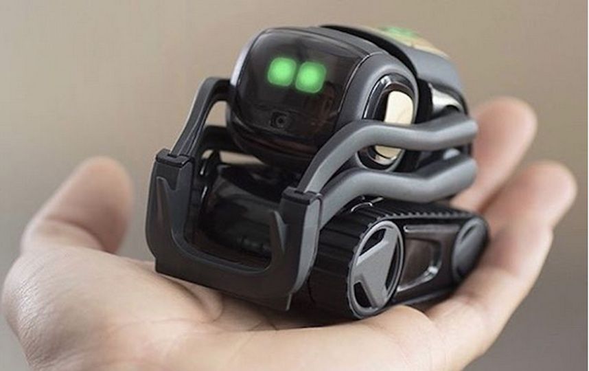 Anki Vector – aqlli robot yordamchi