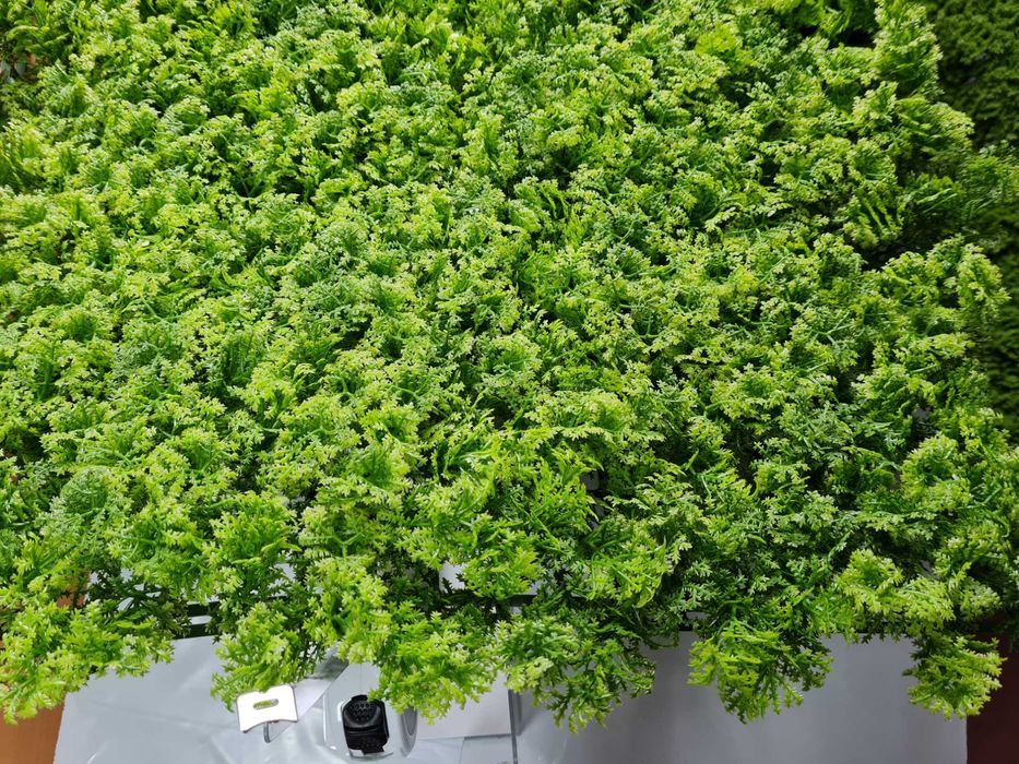 VV 7002 GreenWall Stone Moss-perete verde artificial 1x1m