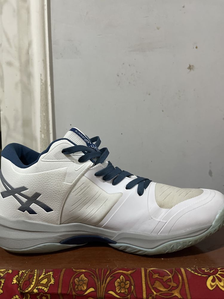 Asics sky elite ff3 (44-razmer)