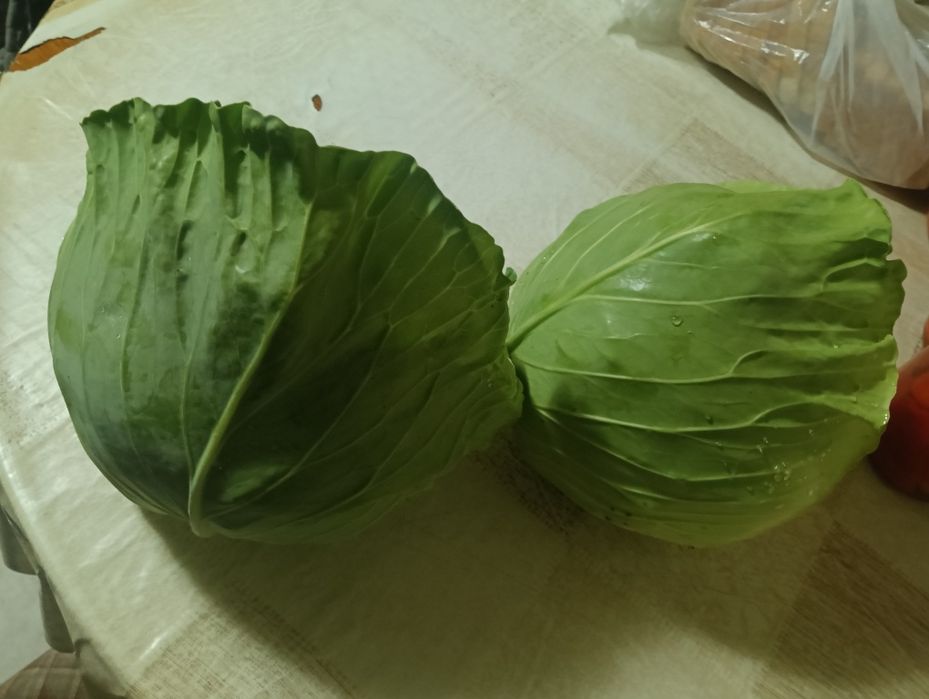 Vând varză pentru murat