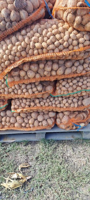 Cartofi pentru animale