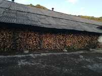 Stalpi pentru gard din salcam