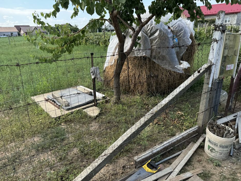 Teren IntraVilan Pretabil Pentru Casa Strada Musatini Aroneanu Iasi
