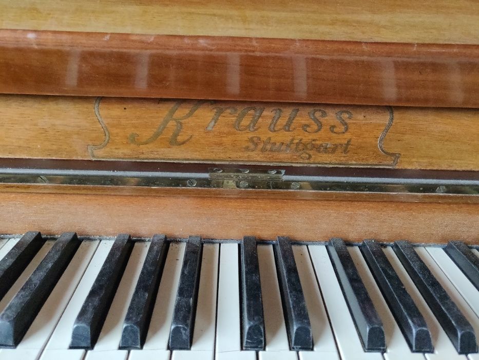 Pianina Krauss, E. Stuttgart