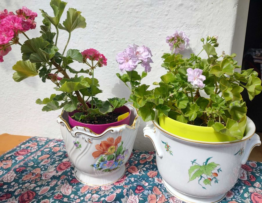 Голяма ръчно рисувана кашпа на Herend