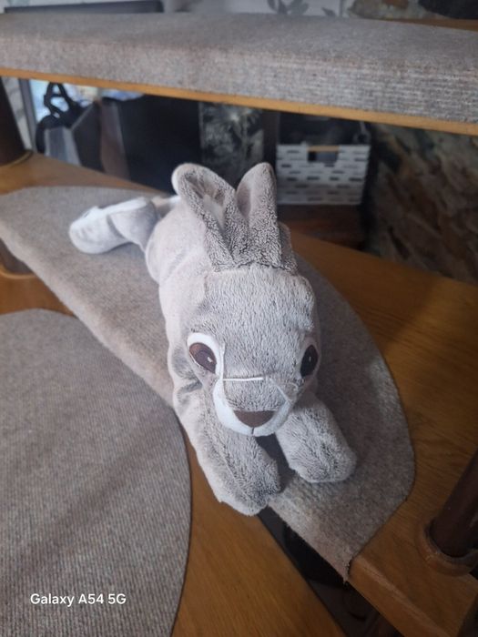 Играчки за децата