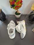 Dior b22 premium