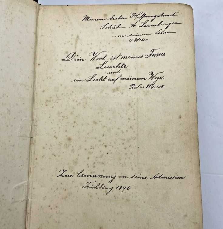 Biblia / Biblie veche , 1894 , limba germana , 21x14x5 cm , crestinism