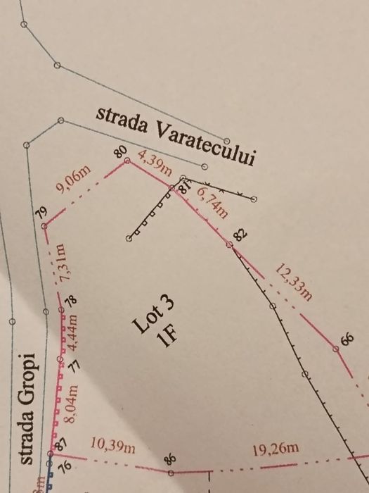 Teren RATE DOAR CU BULETINUL  Manastirea Varatec în satul de maici