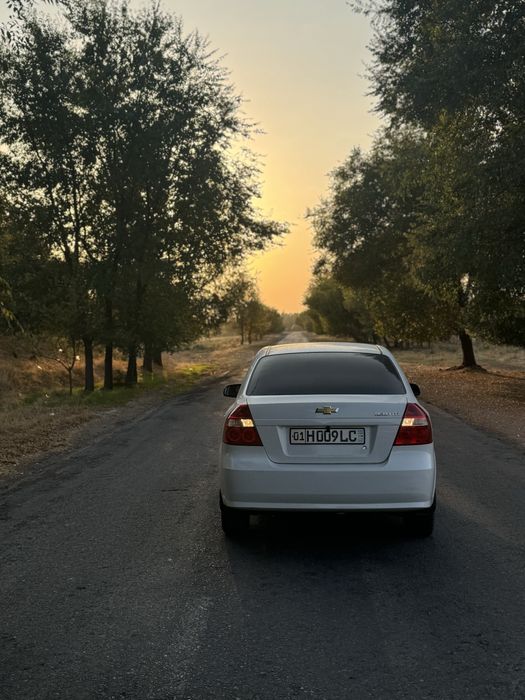 Нексия 3 Элегант плюс