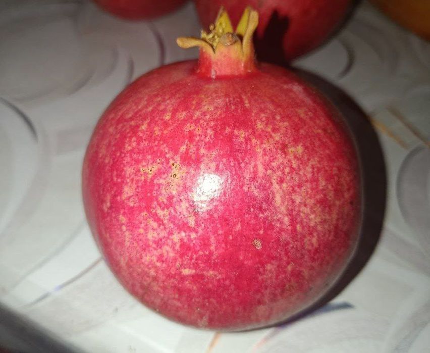 Anor sotiladi  surxondaryoda 10 tonna