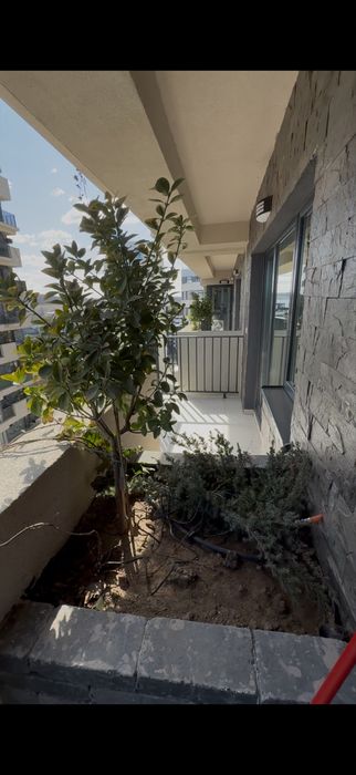 Apartament 1 camera Complex Evergreen, contract ANAF+ factura fiscala