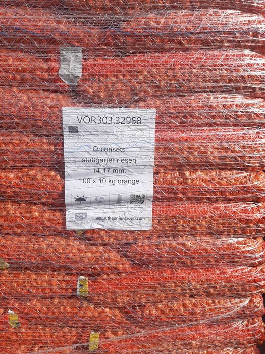 Vand arpagic olandez si romanesc, calitate excelenta