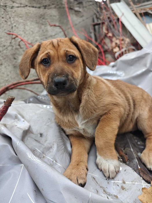 Пристраиваются две девочки