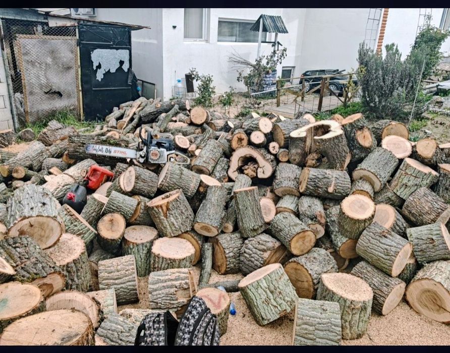 Рязане на дърва за огрев и кастрене на дървета