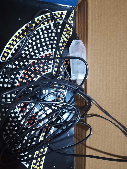 Devil's eye / ochi pentru mașină