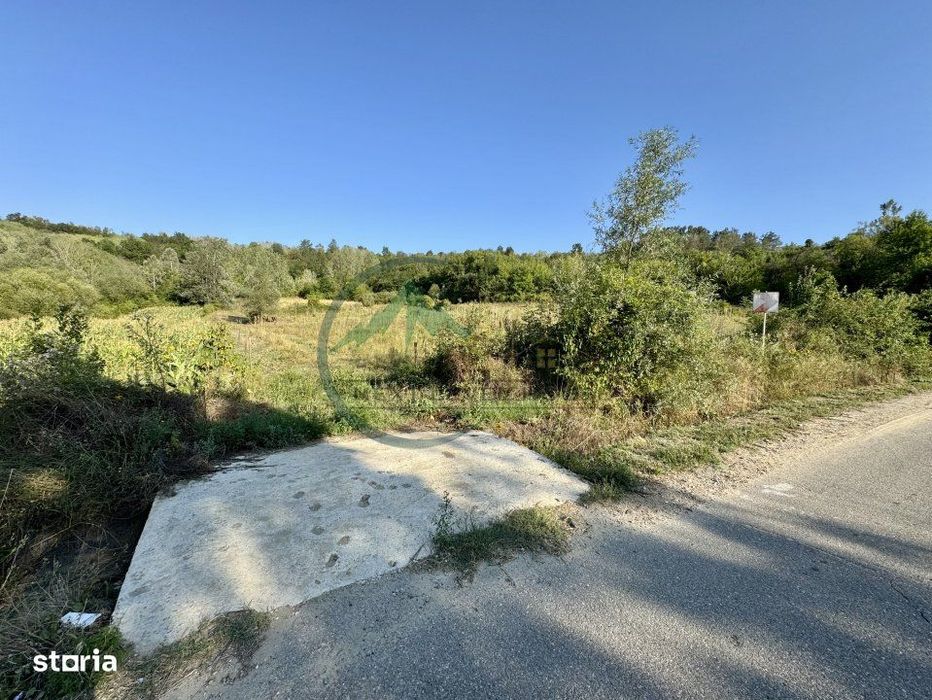 Teren 33290 mp, Lupsa de sus, Oportunitate de investitie
