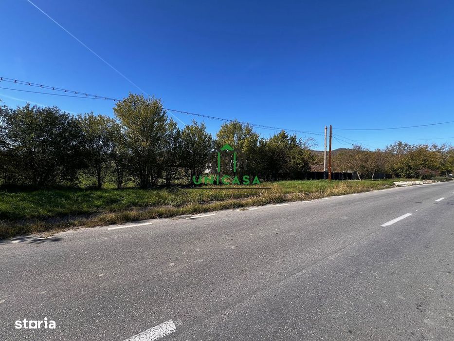 Teren intravilan/Str Balciului/Copacelu