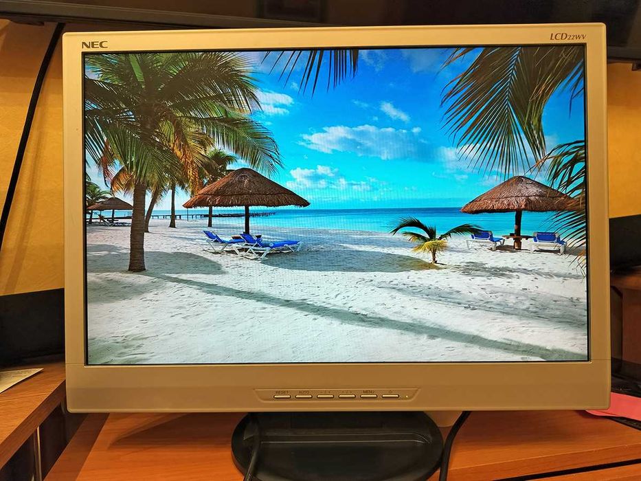 oferta Monitor NEC 22WV la pret foarte bun