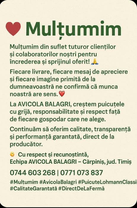 Puicute ouataoare direct de la ferma!