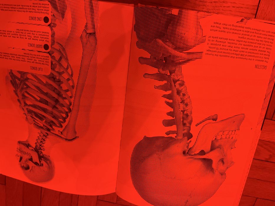 Carte interactivă „The Human Body” - 3 imagini in 1