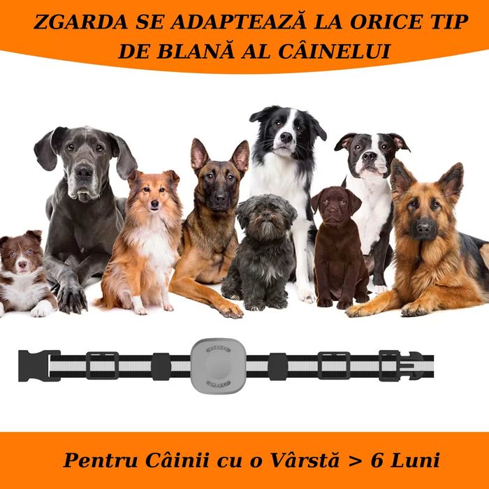 Zgarda pentru Dresaj Caini cu Telecomanda